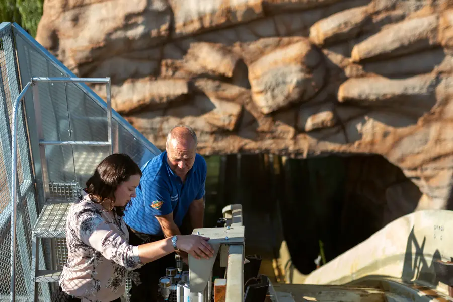 Two engineers inspecting a theme park ride